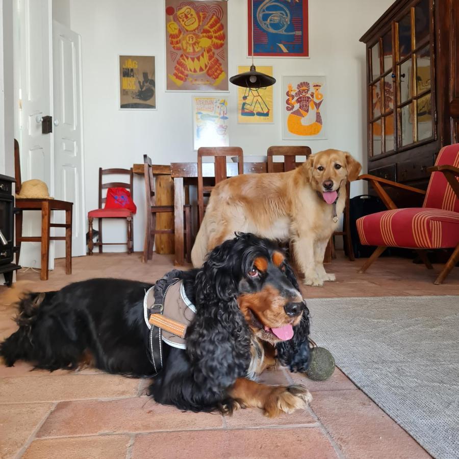 Casa Magana Em Grandola Villa ภายนอก รูปภาพ